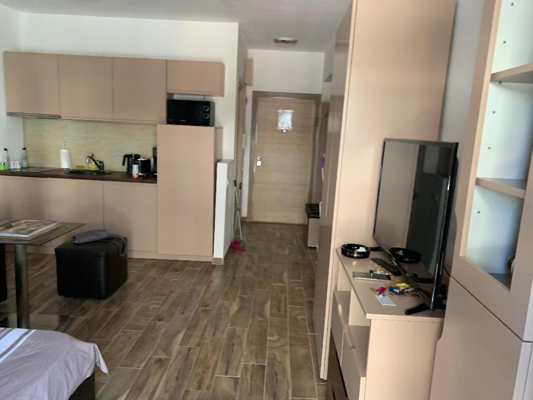 Loft Apartment Mamaia