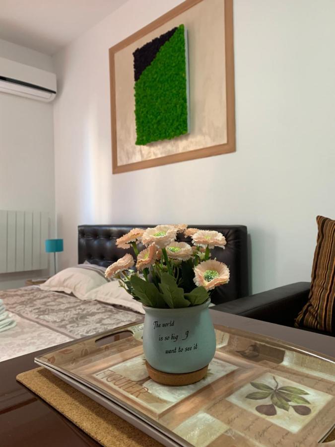 Loft Mamaia